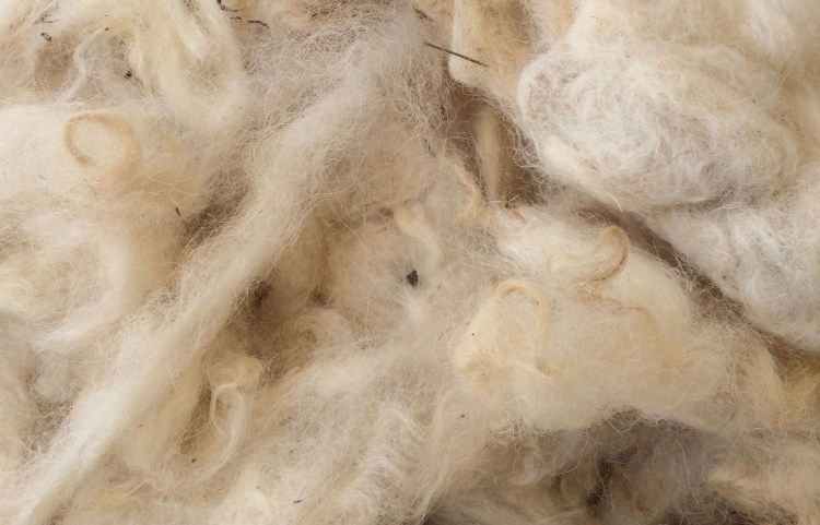 28578248257_64198653c7_o