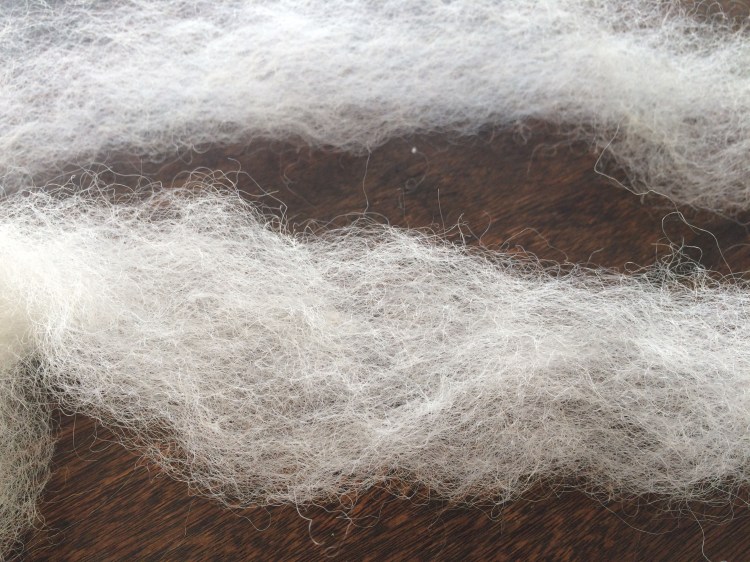 29593444448_b3a004c1e3_o