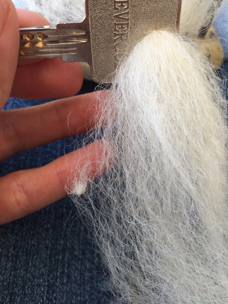 41656854400_ebdbd2f052_o