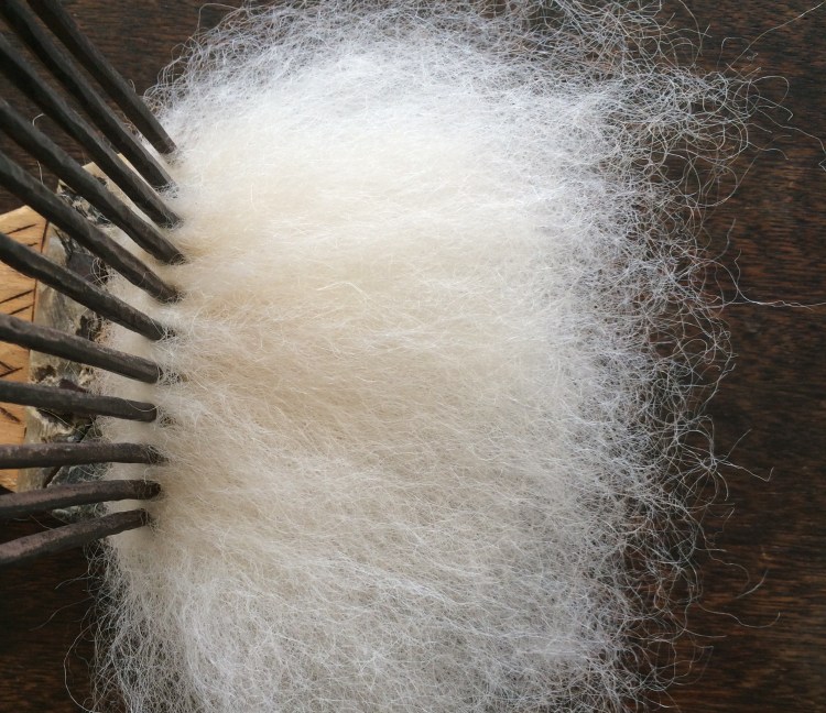 42748021284_e67c4ecb49_o