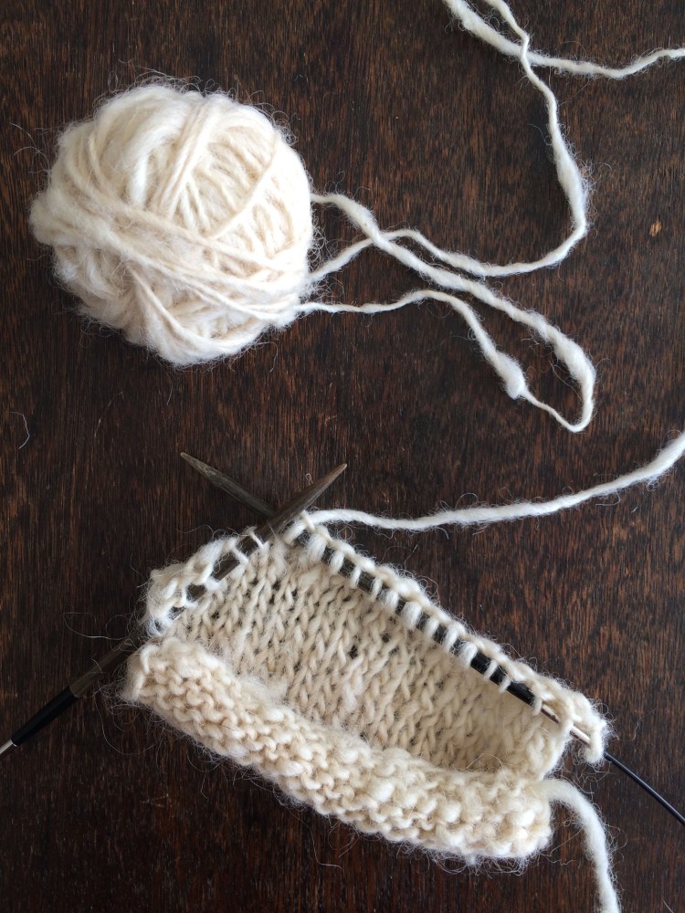 43416055792_08ed40744c_o