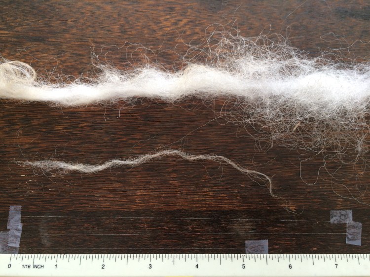 43416067162_7f07f4c63f_o