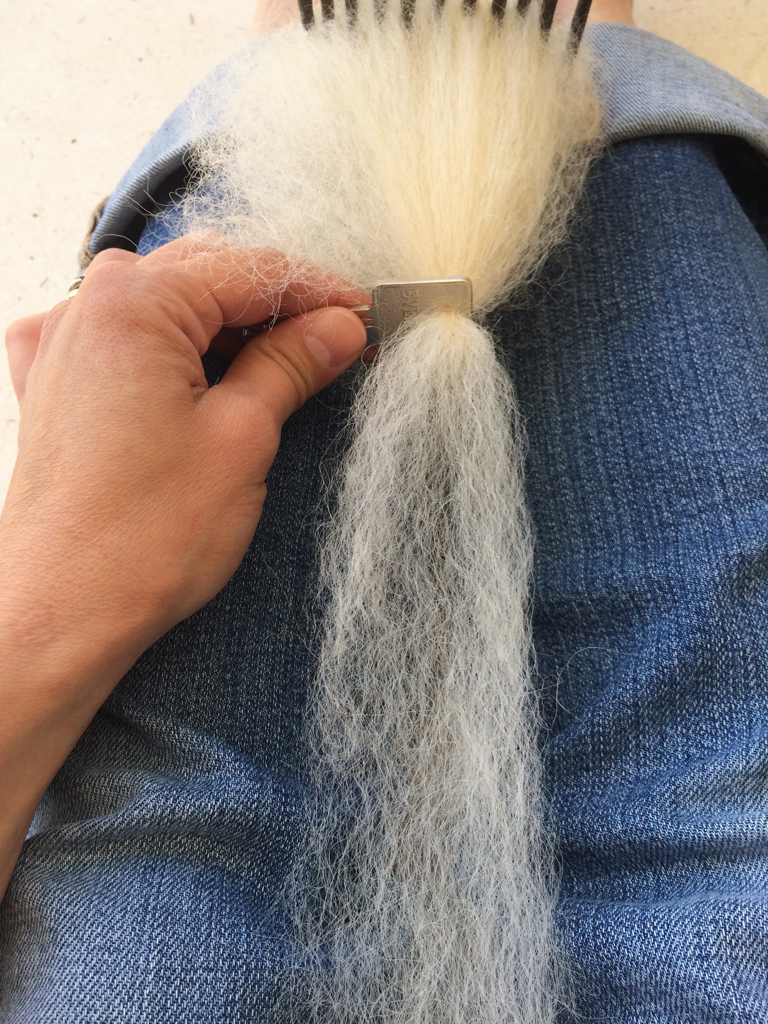 43416067272_83264e2fa1_o