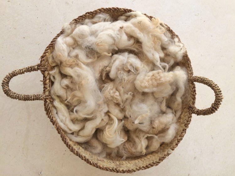 43464684481_1269d55691_o