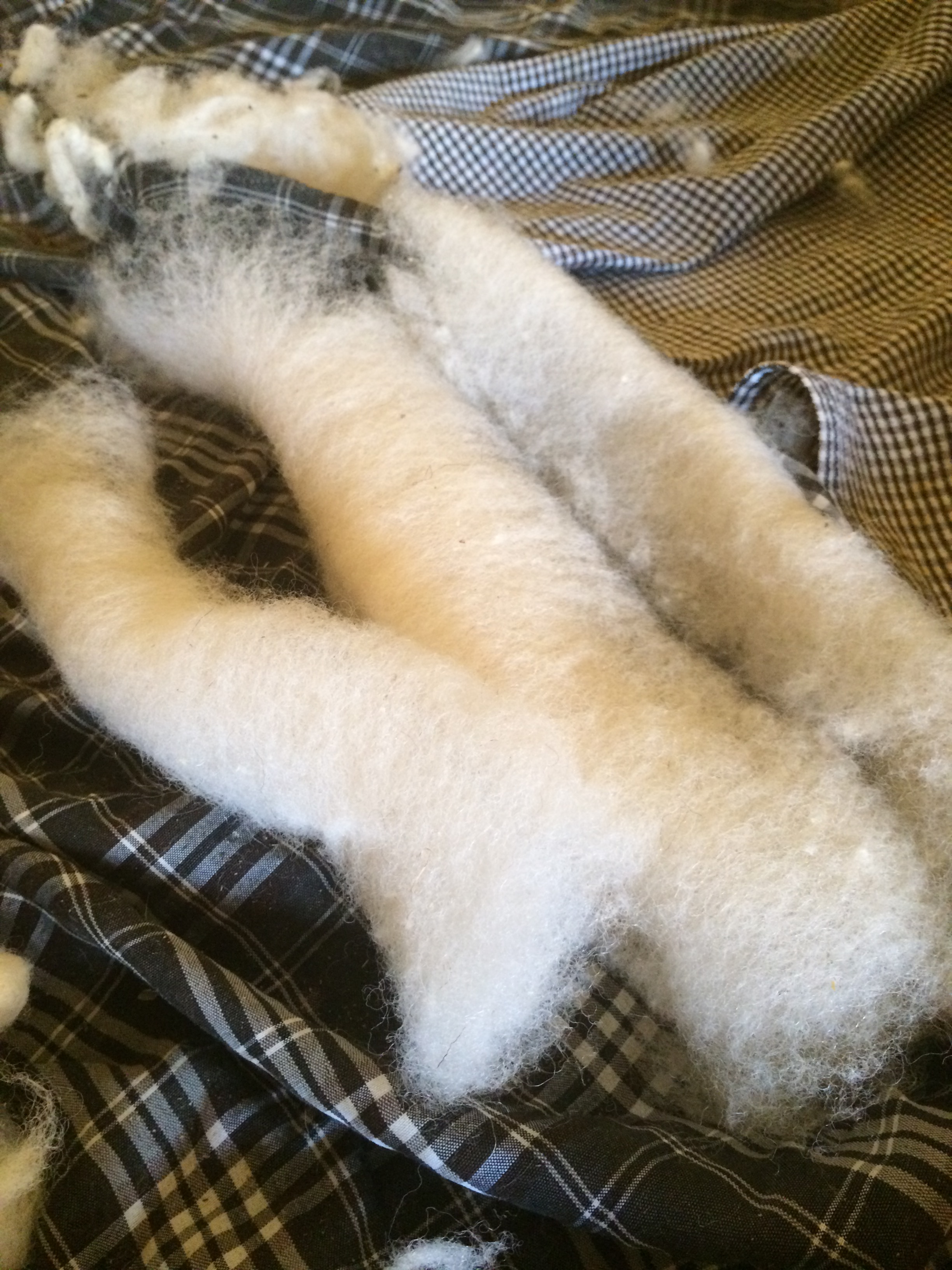 43684959982_f9d730fd24_o